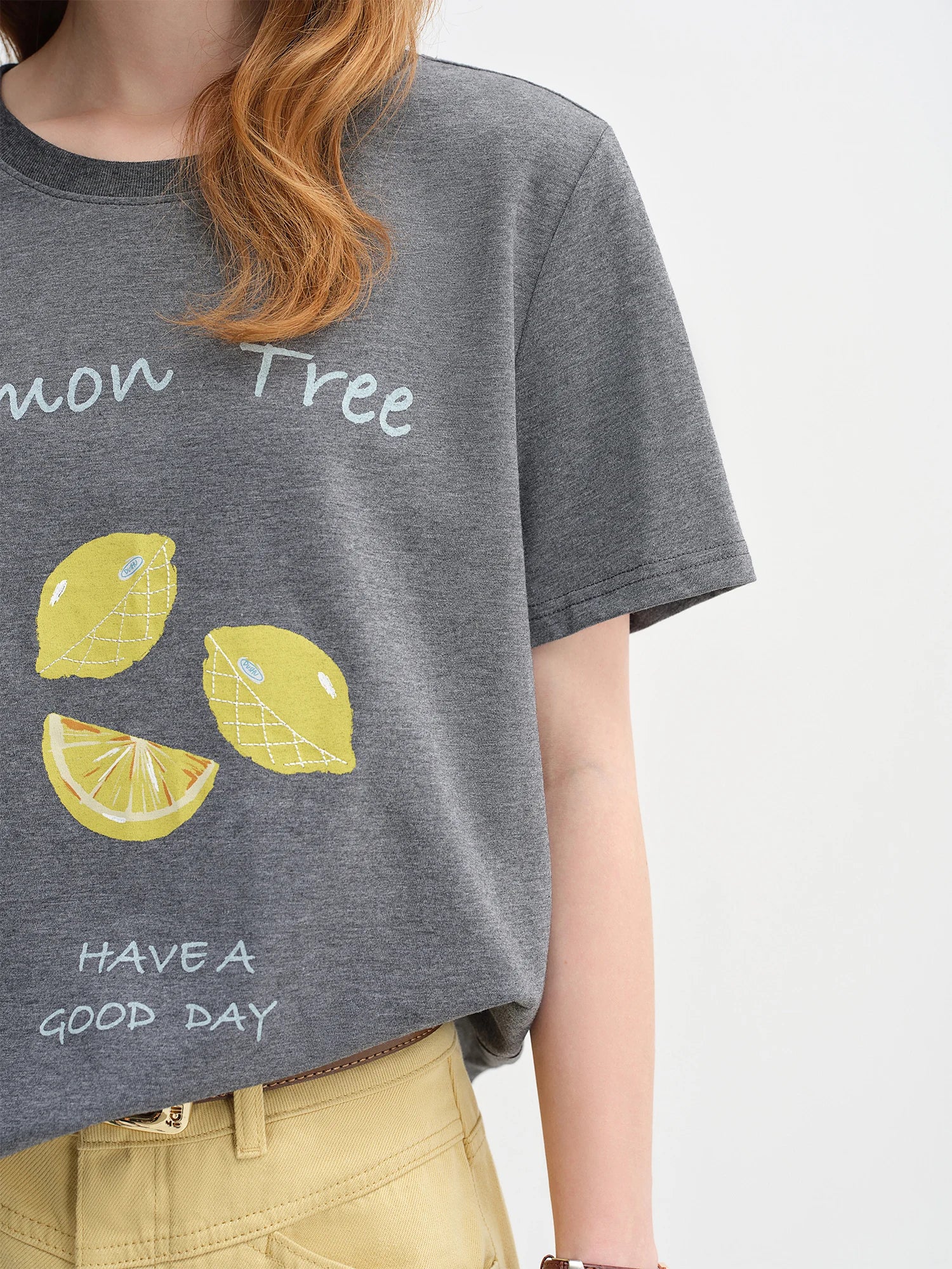 DUSHU 79.6% Cotton Women's Simple Straight Shoulder Loose Fruit Print T-shirt Female 2025 New Autumn Short-sleeved Top 25DS83171